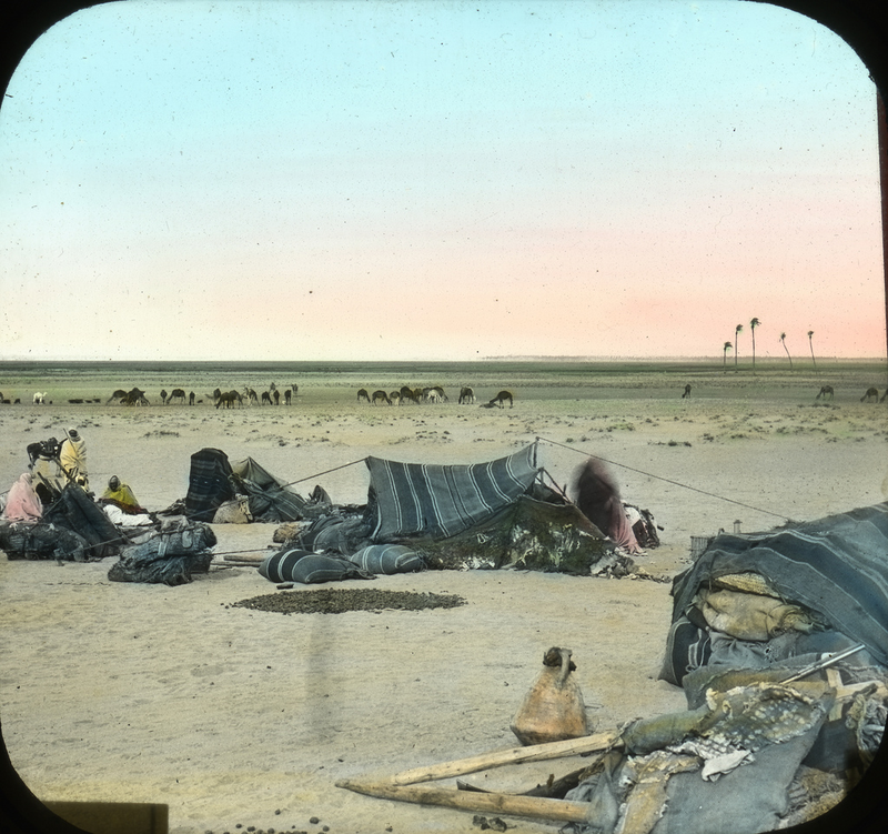 Illustration for article titled Amazing Hand-Tinted Photos of Egypt from the late 19th century